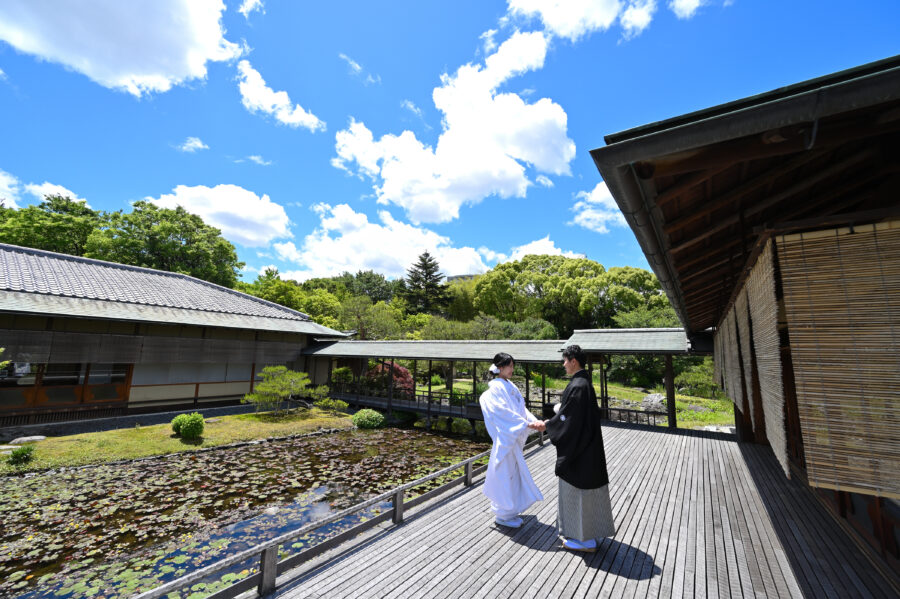 白鳥庭園ロケーションフォト　青空バック