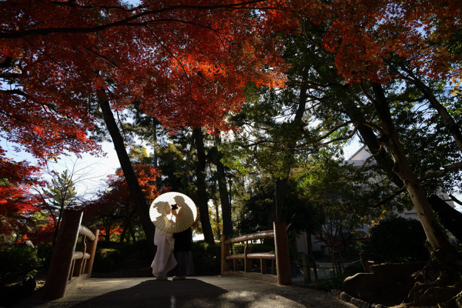 中村公園ロケーションフォト　シルエット