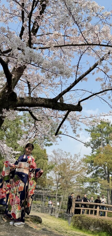  成人記念｜和装｜振袖｜名古屋｜北徳｜ ロケーションフォト